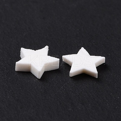 Handmade Polymer Clay Cabochons CLAY-A002-01F-1