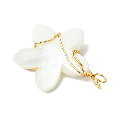 Natural Carved Freshwater Shell Pendants PALLOY-JF03392-1
