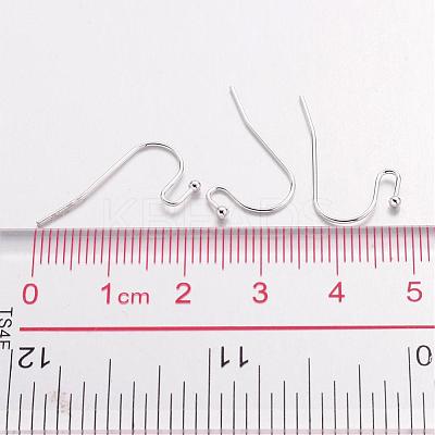 Silver Color Plated Brass Hook Ear Wire X-J0JQN-S-1