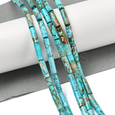 Dyed Natural Imperial Jasper Beads Strands G-H087-H01-01A-1