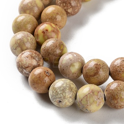 Dyed Natural Regalite/Imperial Jasper/Sea Sediment Jasper Beads Strands G-B124-C01-08-1