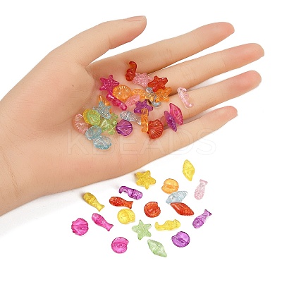 250Pcs 50G Transparent Acrylic Beads TACR-FP0001-04-1