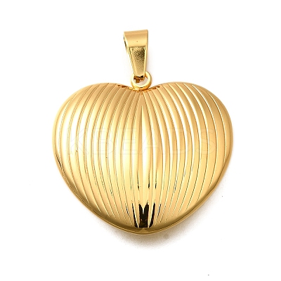 304 Stainless Steel Pendants LS-STAS-H200-25G-17-1