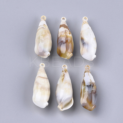 Acrylic Pendants OACR-S021-34-1