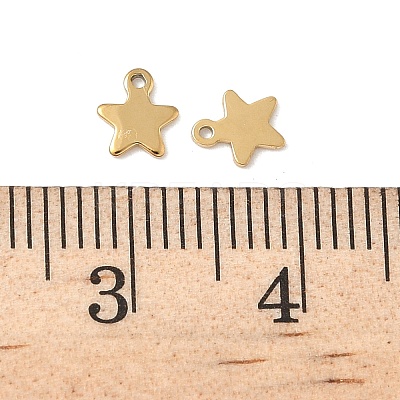 304 Stainless Steel Charms STAS-K306-15A-G-1