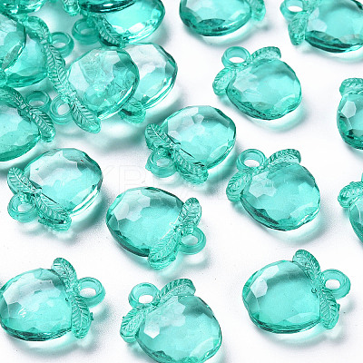 Transparent Acrylic Pendants TACR-S154-28B-68-1