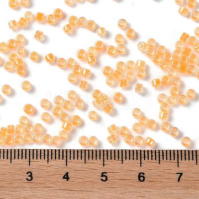Glass Seed Beads X-SEED-S042-13A-05-1