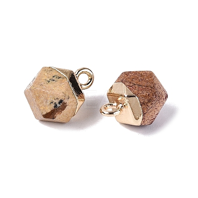 Natural Picture Jasper Pendants G-N359-18G-13-1