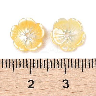 Natural Yellow Shell Carved Beads SSHEL-I026-12A-01-1
