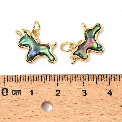 Natural Paua Shell Unicorn Pendants KK-G538-35G-1