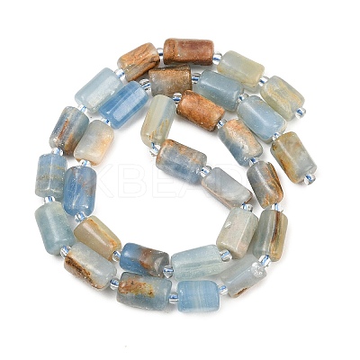 Natural Blue Calcite Beads Strands G-F836-B01-01-1