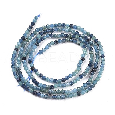 Natural Blue Tourmaline Beads Strand G-R475-027-1
