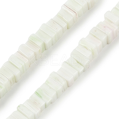 Handmade Lampwork Beads Strands LAMP-Q037-02B-19-1