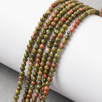 Natural Unakite Beads Strands G-Z116-A01-2mm-1