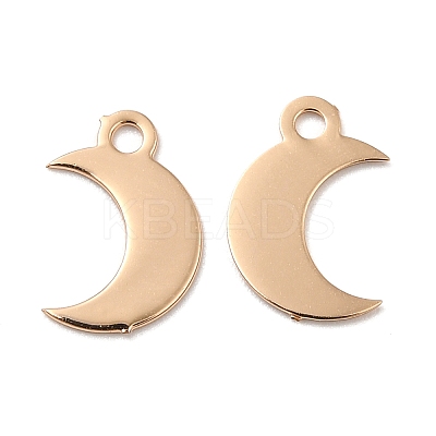 Long-Lasting Plated Brass Charms KK-K336-02KCG-1