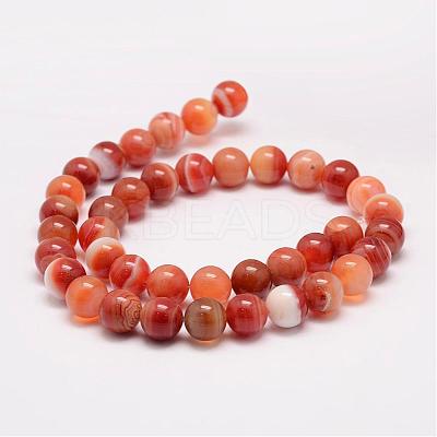 Natural Striped Agate/Banded Agate Bead Strands G-K153-B35-10mm-1