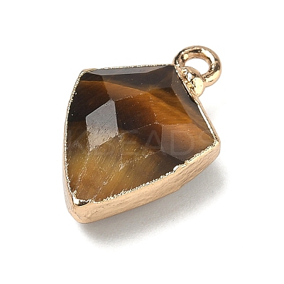 Natural Tiger Eye Pendants G-K422-01G-08-1
