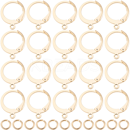 30Pcs 304 Stainless Steel Leverback Earring Findings STAS-BBC0009-21-1