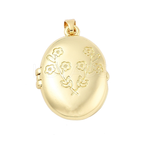 Brass Locket Pendants KK-H206-01G-01-1