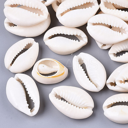 Natural Cowrie Shell Beads LS-X-SSHEL-N034-34-1