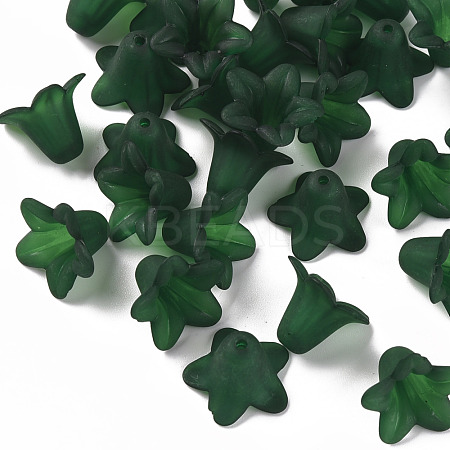 Transparent Acrylic Beads PLF018-09-1