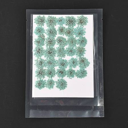Pressed Dried Flowers DIY-K032-58H-1