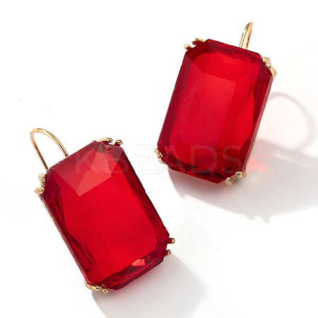 Rectangle Alloy Cubic Zirconia Dangle Earrings FS-WGB3F13-01-1