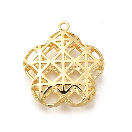 Brass Pendants KK-E792-11G-1