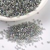 MIYUKI Delica Beads SEED-J020-DB0107-1