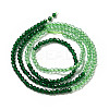 2 Colors Transparent Glass Beads Strands GLAA-G093-01I-2