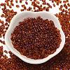 Spray Painted Glass Seed Beads SEED-F005-05A-01-2
