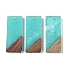 Resin & Wood Pendants WOOD-F015-09F-1