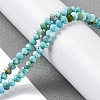 Natural Howlite Beads Strands G-H025-03C-01-2