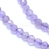 Natural Amethyst Beads Strands G-I279-E04-03-3