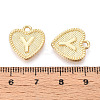 Alloy Pendants PALLOY-N157-001Y-NR-3