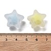 Frosted Transparent Acrylic Beads OACR-A032-13C-3