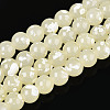 Baking Paint Glass Beads Strands DGLA-N015-8mm-08-1