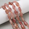 Natural Strawberry Quartz Beads Strands G-A295-A09-01-1