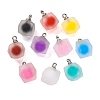 Frosted Resin Polygon Pendants RESI-U002-10-1