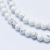 Natural Howlite Beads Strands X-G-P353-01-6mm-3