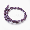 Opaque Solid Color Glass Beads Strands GLAA-E405-02B-F-2