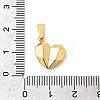 304 Stainless Steel Pendants STAS-C163-01C-G-3
