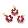 Rack Plating Brass Micro Pave Cubic Zirconia Charms KK-A160-22E-G-3