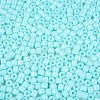 Opaque Baking Paint Glass Seed Beads SEED-T008-02N-3