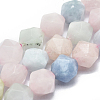 Natural Morganite Beads Strands G-K303-B03-10mm-4