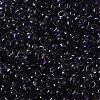 Transparent Colours Glass Seed Beads SEED-P006-02A-12-3