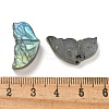 Natural Labradorite Carved Cabochons G-C152-03A-3
