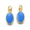 Brass Enamel Charms KK-C106-05G-2