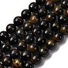Dyed Natural Blue Tiger Iron Beads Strands G-G286-A02-6mm-2