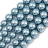 Electroplated Shell Pearl Graduated Beads Strands BSHE-C011-04-04-1